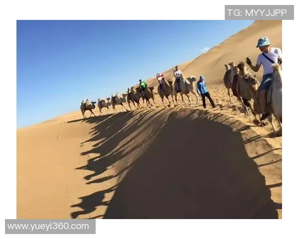 驼铃户外探险之旅带你领略自然之美与心灵的自由